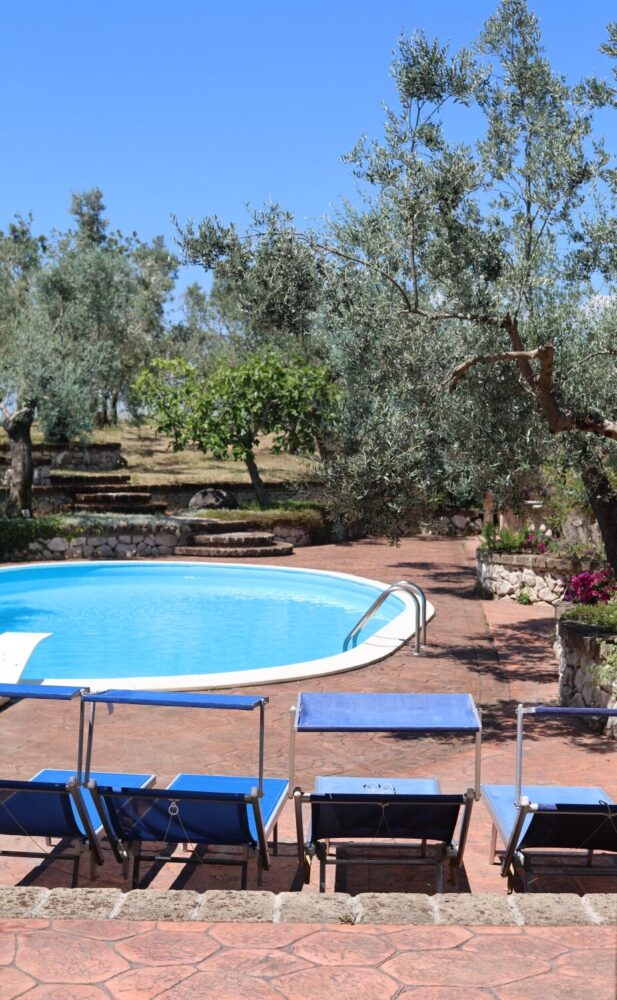 Cantina Vezza, patio esterno