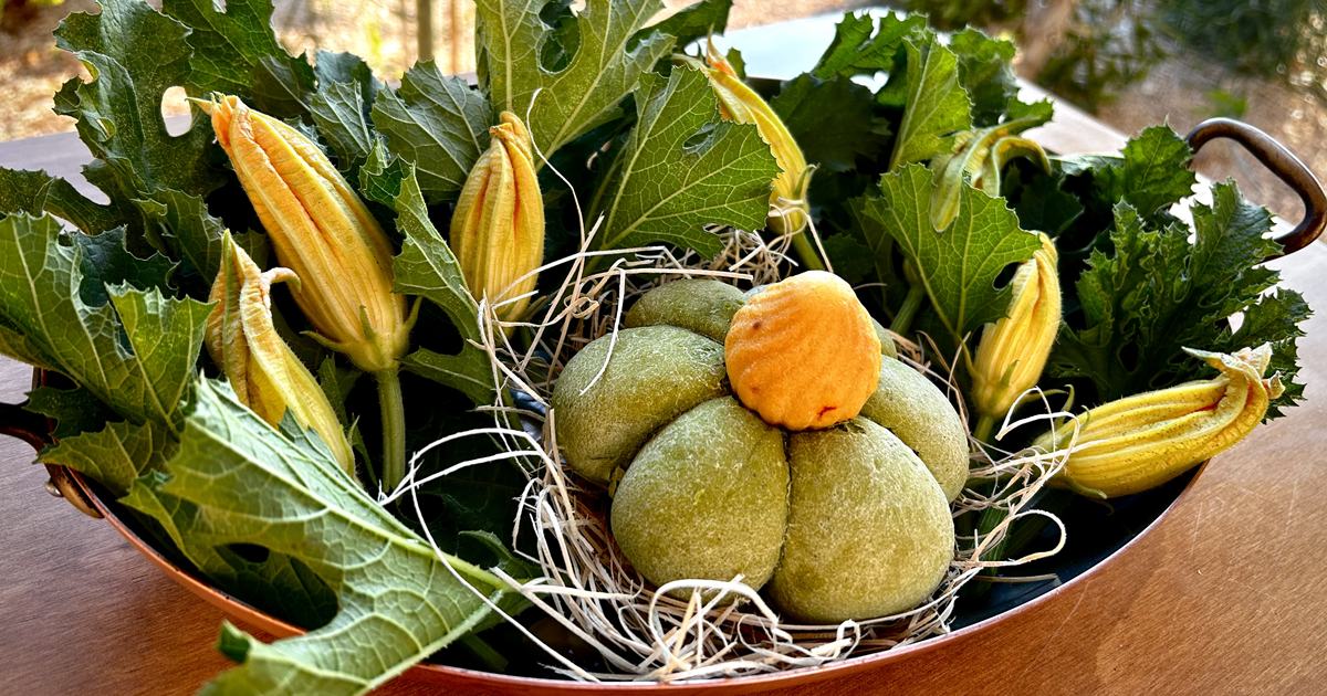 “Zucchino in Fiore” di Simone Centonze