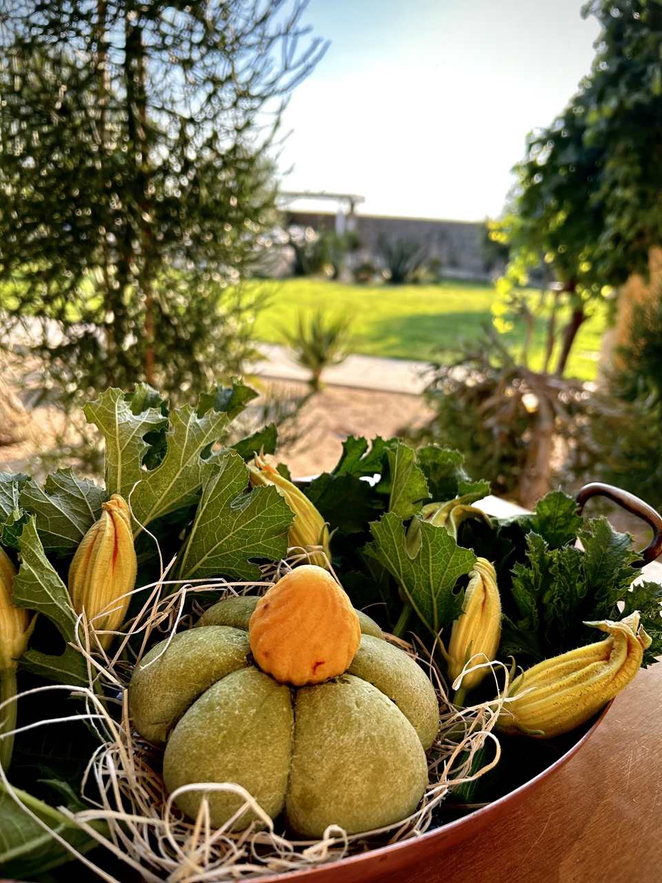 “Zucchino in Fiore” – Simone Centonze