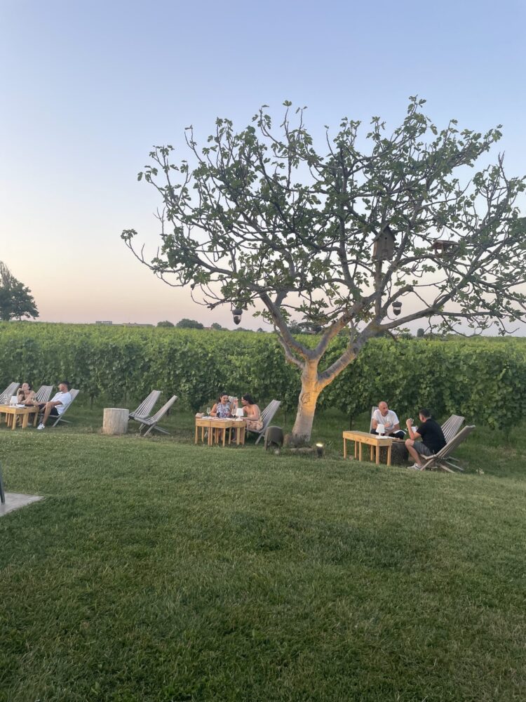 Enio Ottaviani Vini e Vigneti San Clemente( RN)