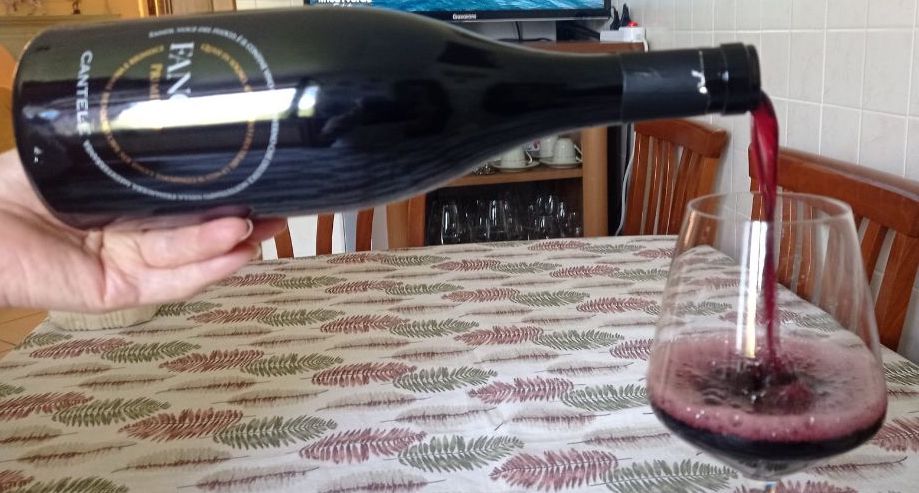 Fanòi Primitivo Salento Igp 2022 Càntele