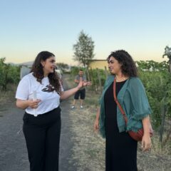 Maria Paola Sorrentino & Mara Gherardelli - The Floor is Lava, Sorrentino Vesuvio Vite Vulcaniche