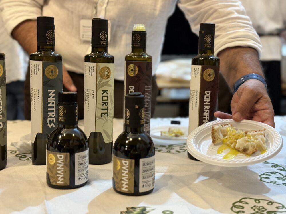 olio - Convegno Alta Campania, Eremo di San Vitaliano, Caserta