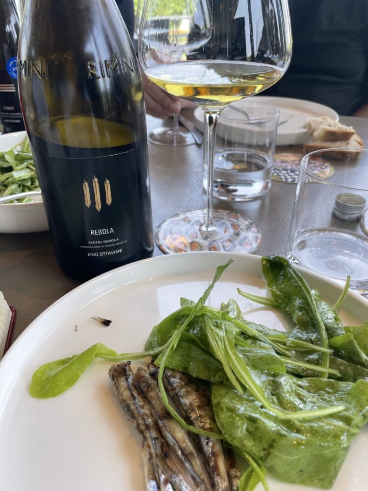 Rebola Colli di Rimini DOP Enio Ottaviani