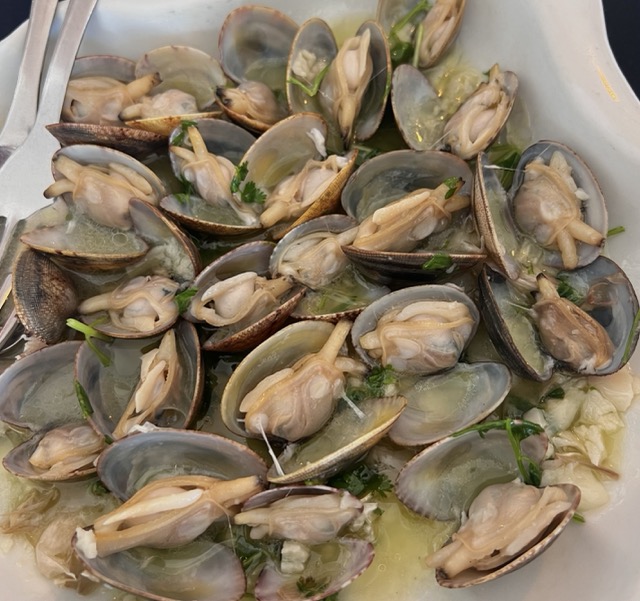 Ruditapes Decussatus