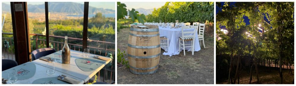 The Floor is Lava, Sorrentino Vesuvio Vite Vulcaniche