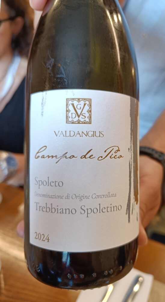 Valdangius - Campo de Pico