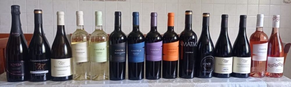 Vini Cantele in generale - Nuone annate