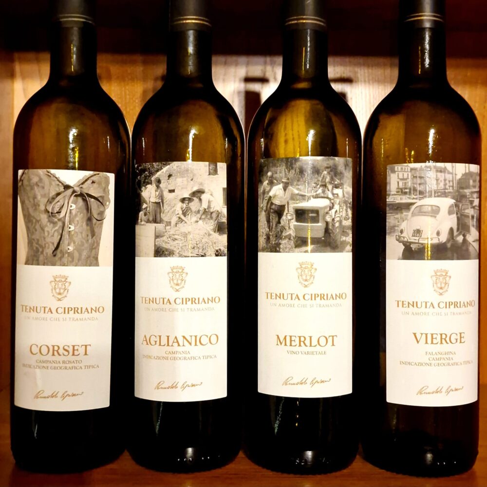 Vini Tenuta Cipriano