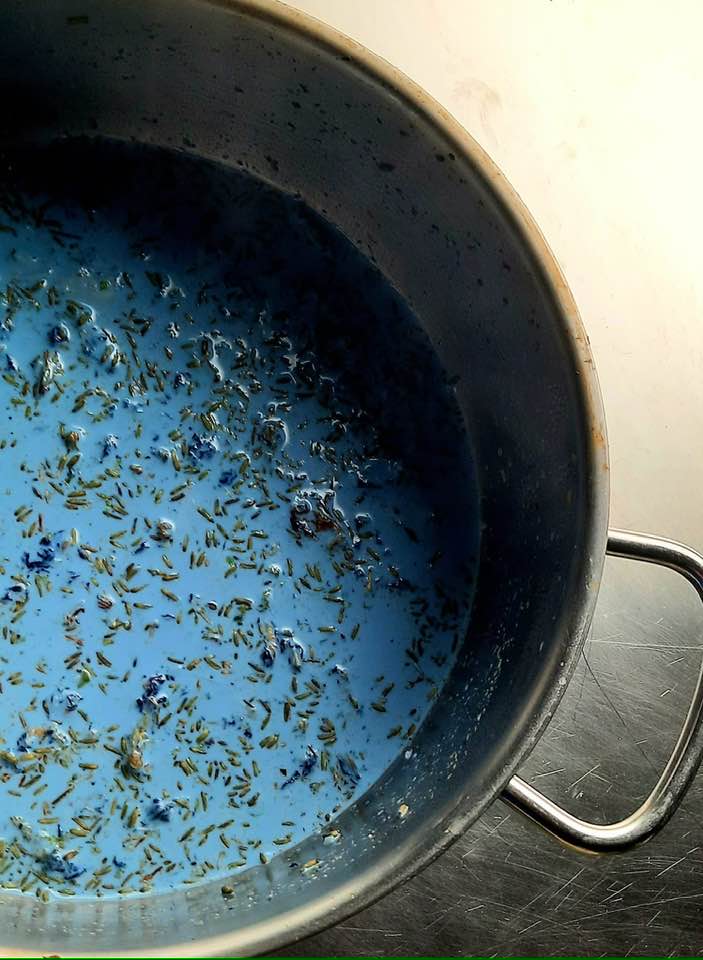 infusione fiori pisello