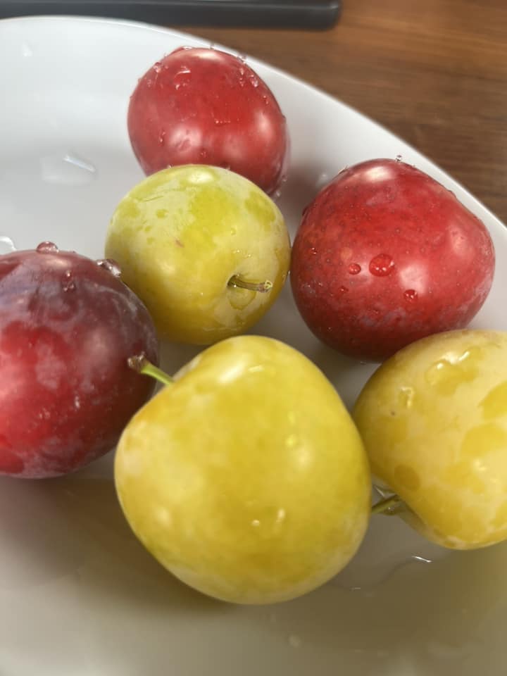 prugne raccolte live