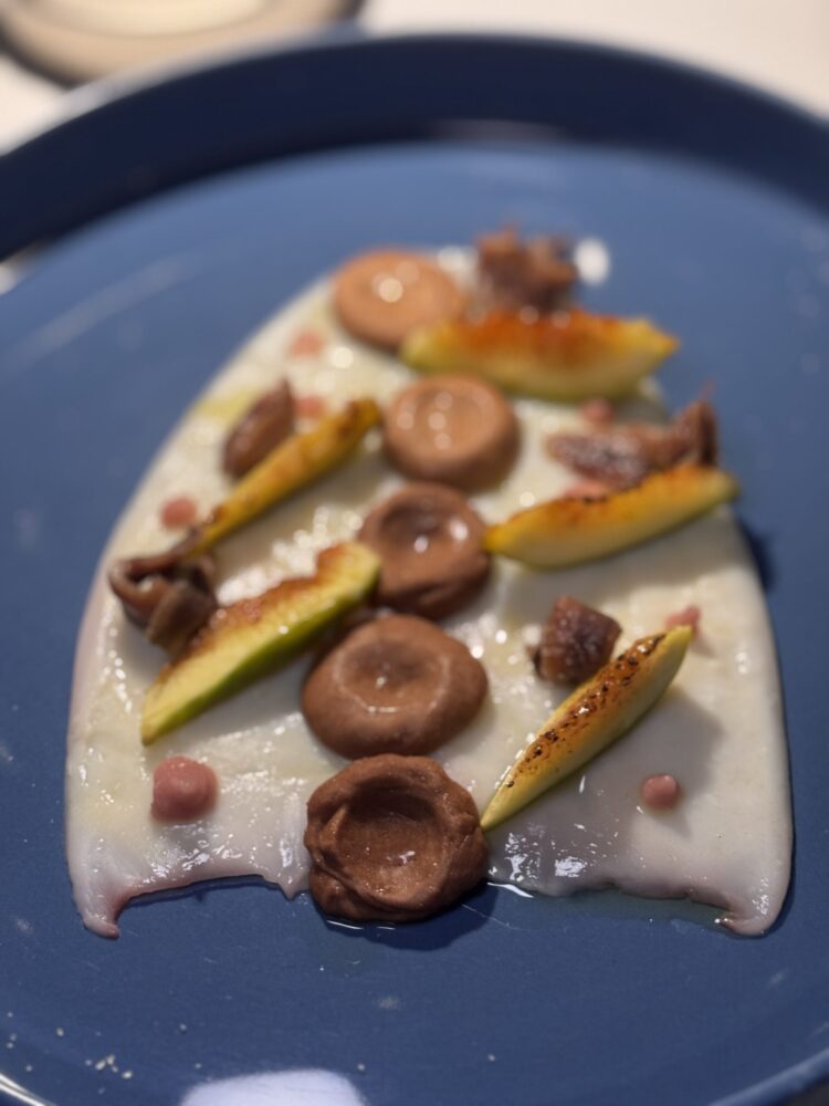 Donna Elisa - Giacca di seppia