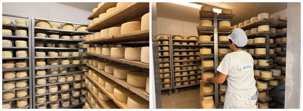 Forme in affinamento e rotazione manuale - Caseificio I Renai