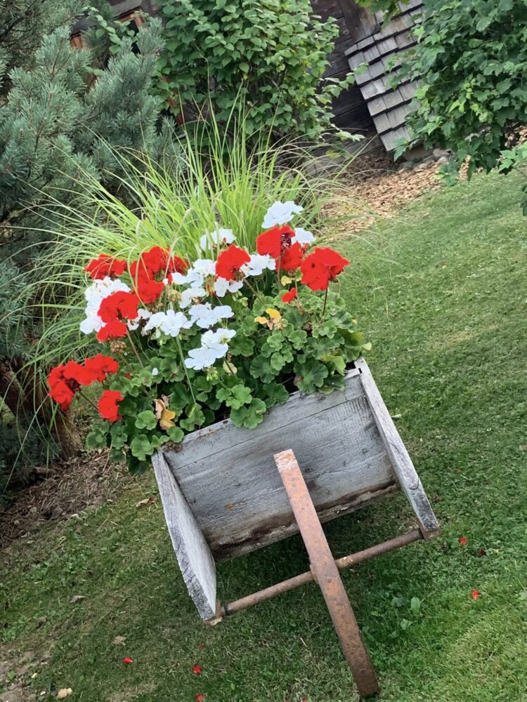 Les Fermes de Marie, dettaglio del giardino