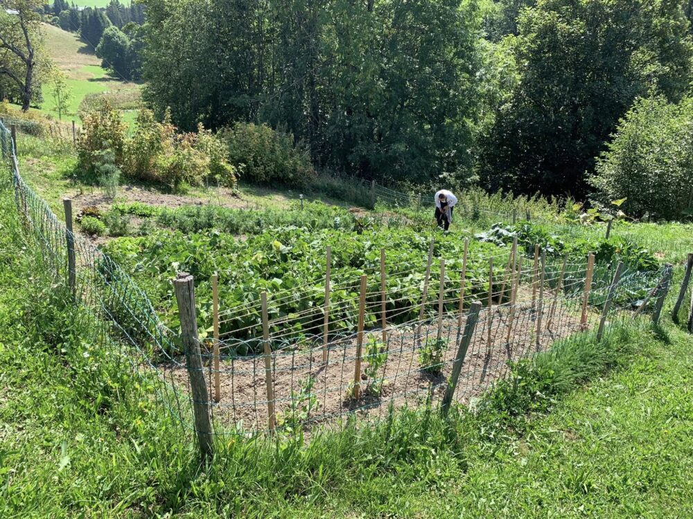 La ferme de Victorine, l'orto