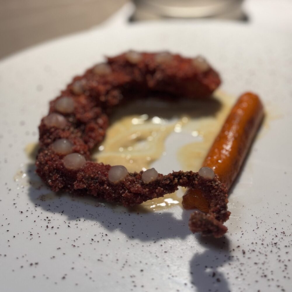 Donna Elisa - Polpo al panko e miso