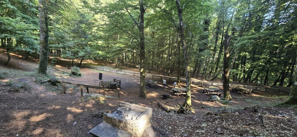 Area Picnic del Sabato