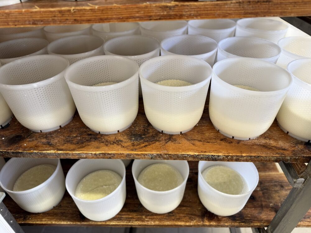 Caciotte fresche - Caseificio I Renai