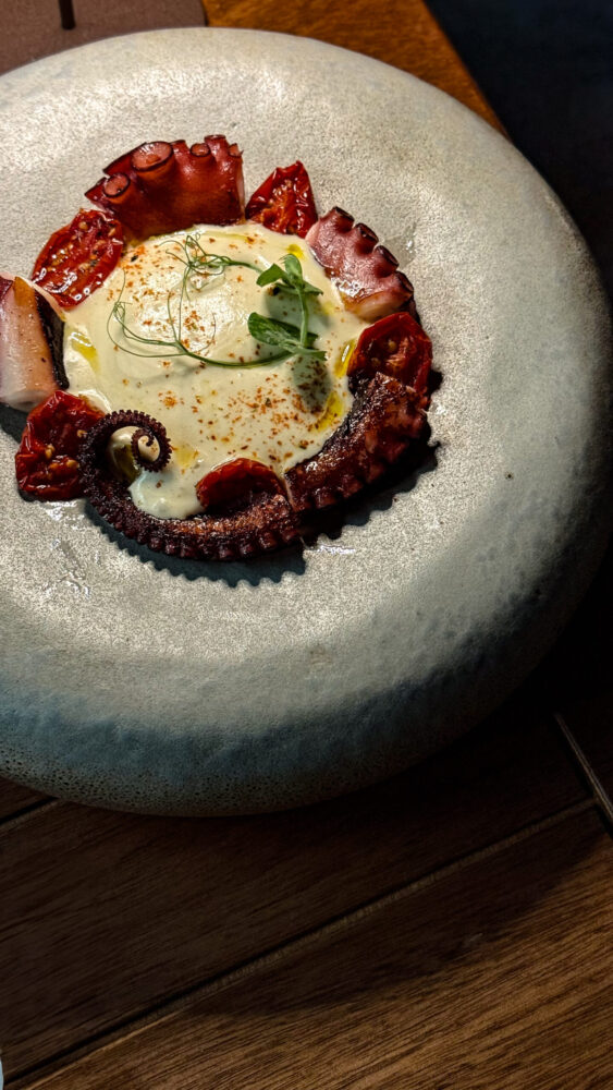 Casa Seta, polpo in Cilento