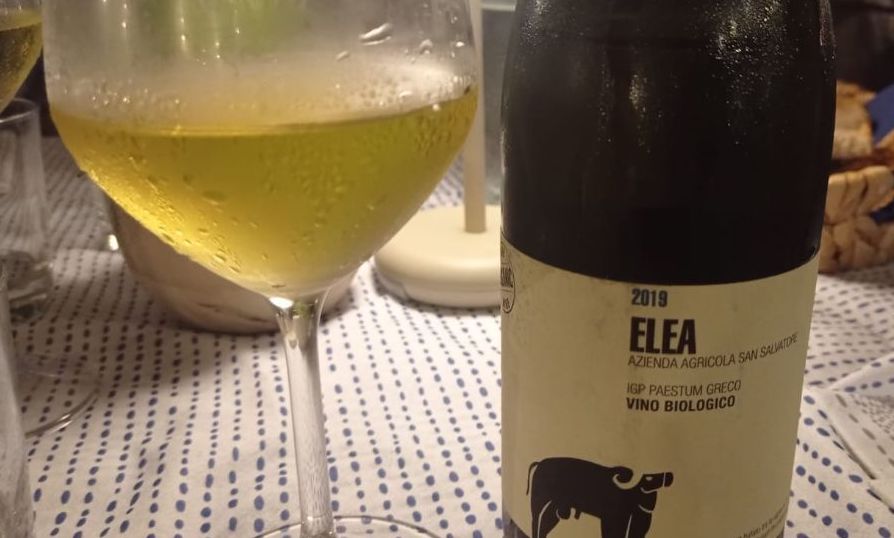 Elea Greco Paestum Igp San Salvatore