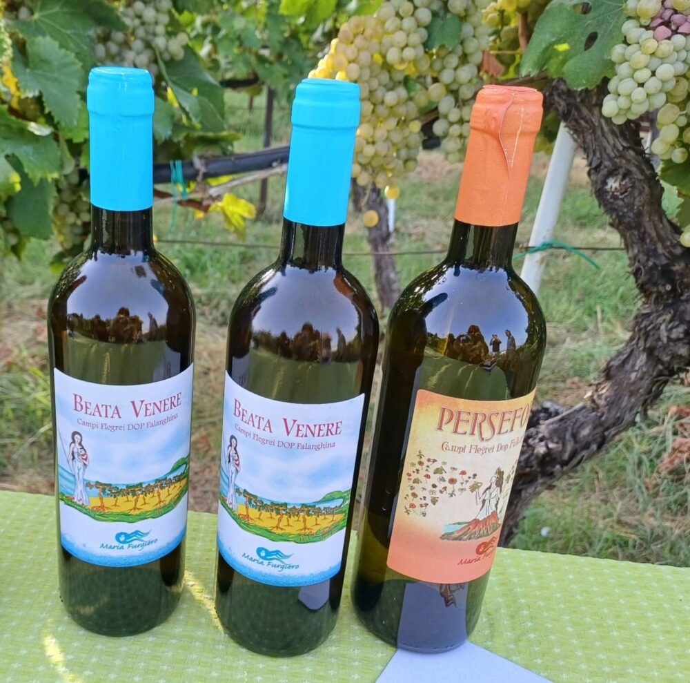 Persefone 2018 e Beata Venere 2022