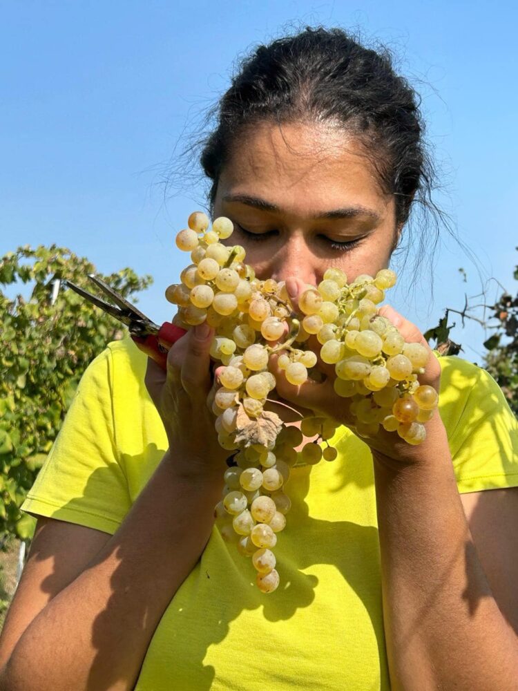 I sogni d’oro di Maria