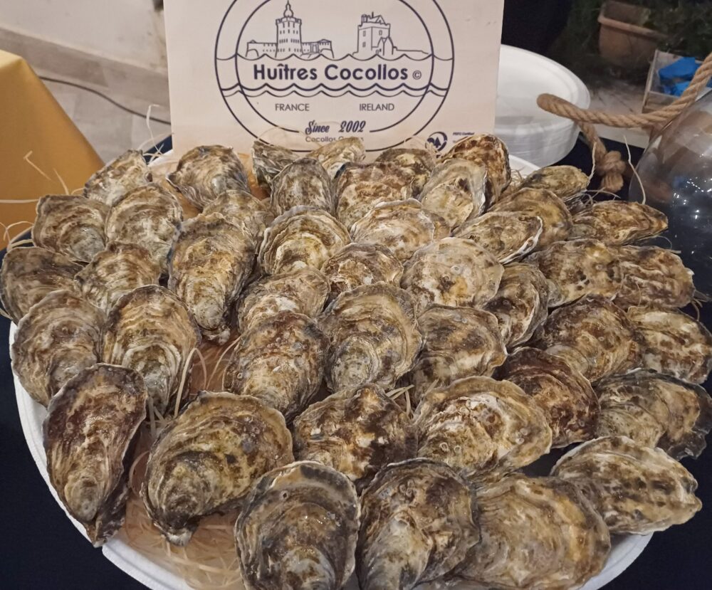 Latomare, Ostriche Cocollos