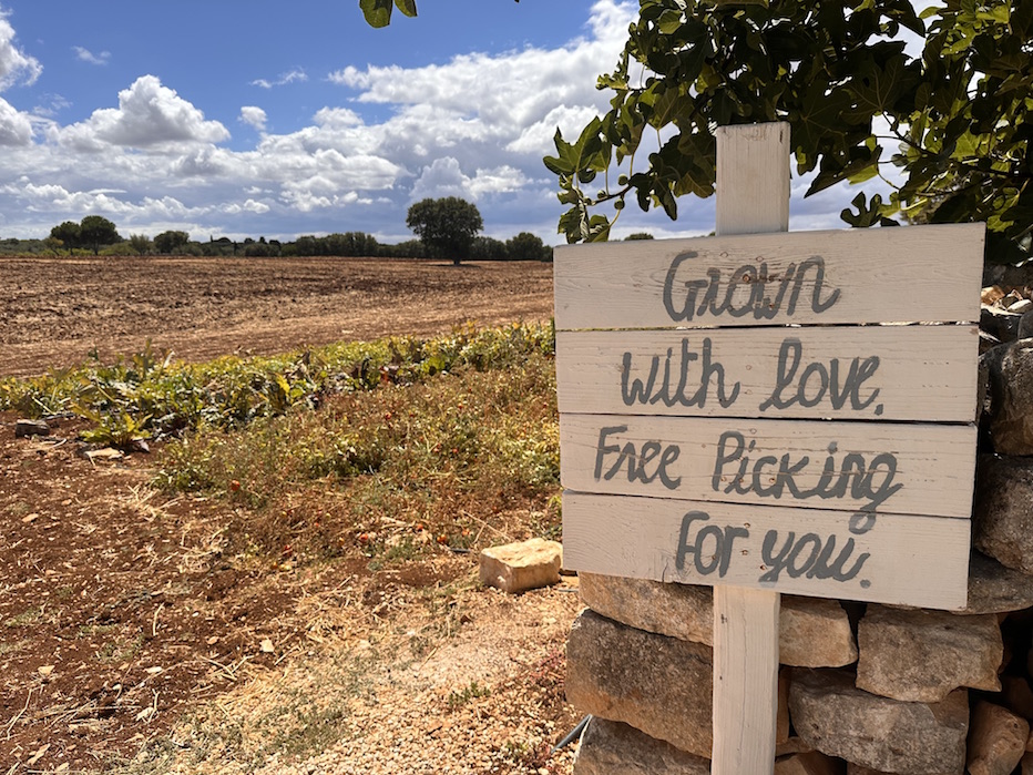 Orto Ristorante. L'orto