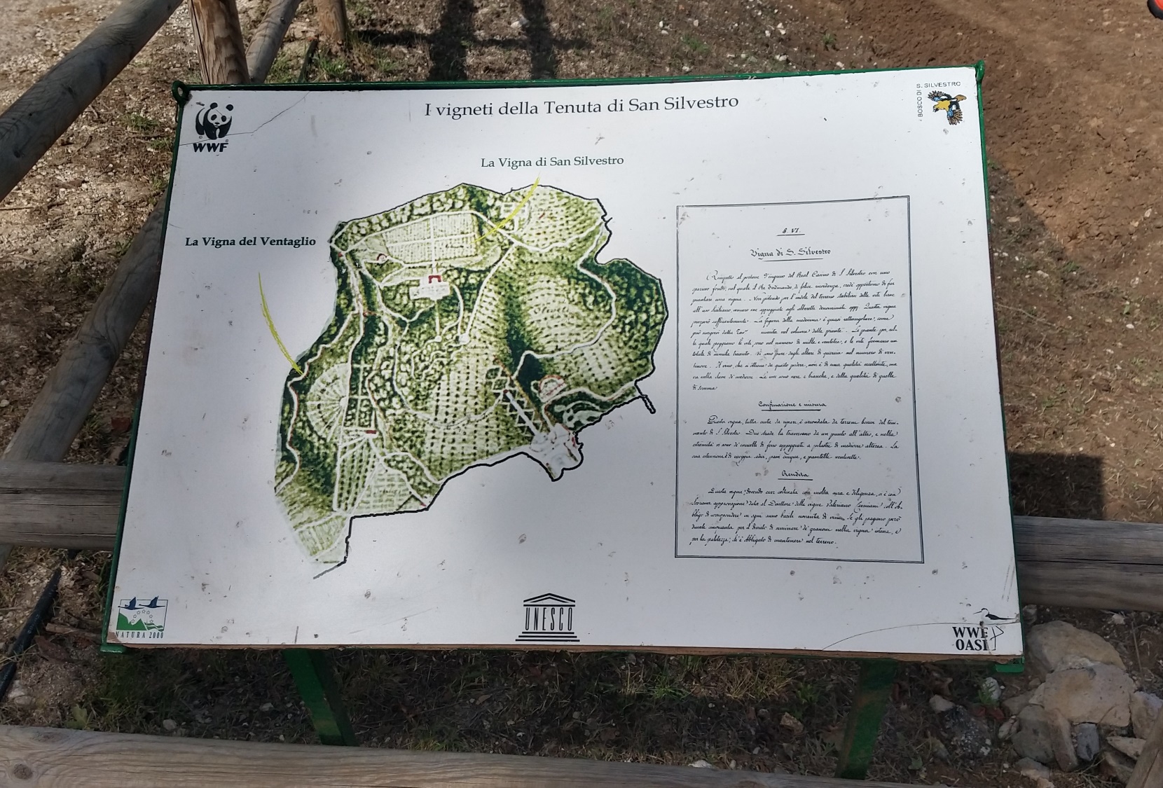 I Vigneti di San Silvestro e Vigneto del Ventaglio