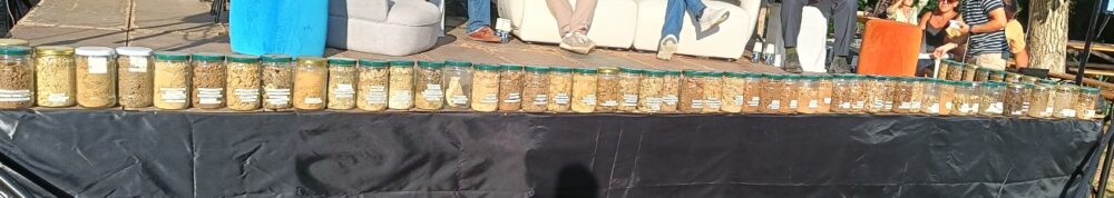 La Pedoteca Prodotta