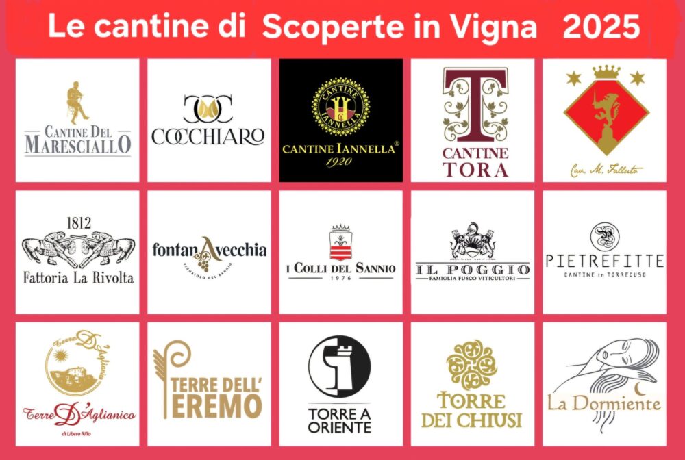 Le Cantine di Scoperte in Vigna 2025