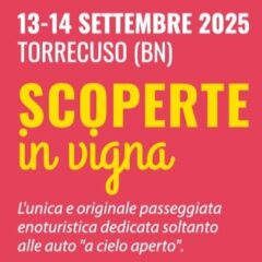 Scoperte in Vigna 2025