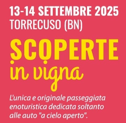 Scoperte in Vigna 2025