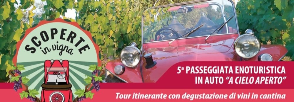 Scoperte in Vigna 2025