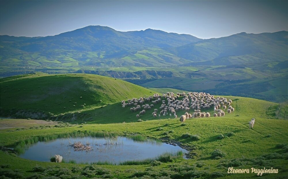 Terre da pascolo - Caseificio I Renai