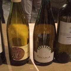 Vini in degustazione al Festival della Dieta Mediterranea a PIoppi