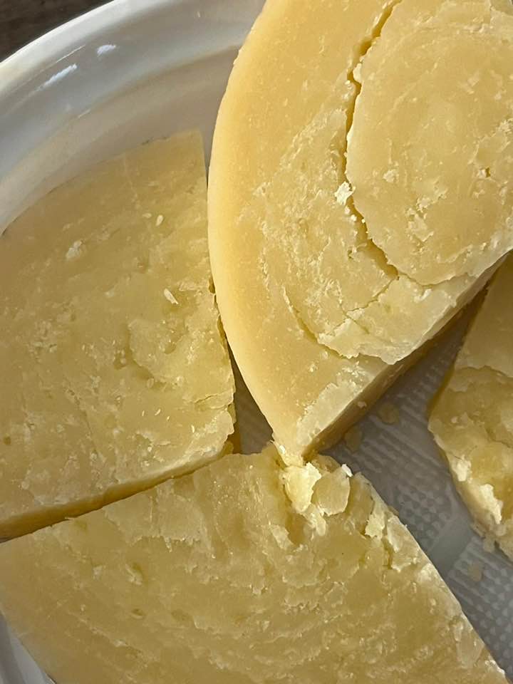 il podolico di Pucciarelli