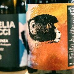 Godenza Romagna doc Sangiovese Predappio 2022, Noelia Ricci