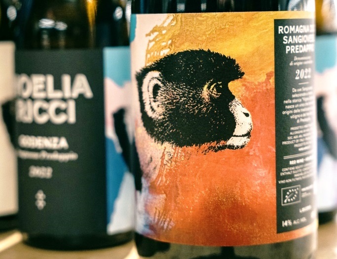 Godenza Romagna doc Sangiovese Predappio 2022, Noelia Ricci