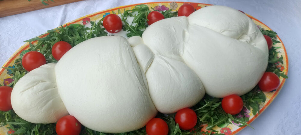 treccia di bufala