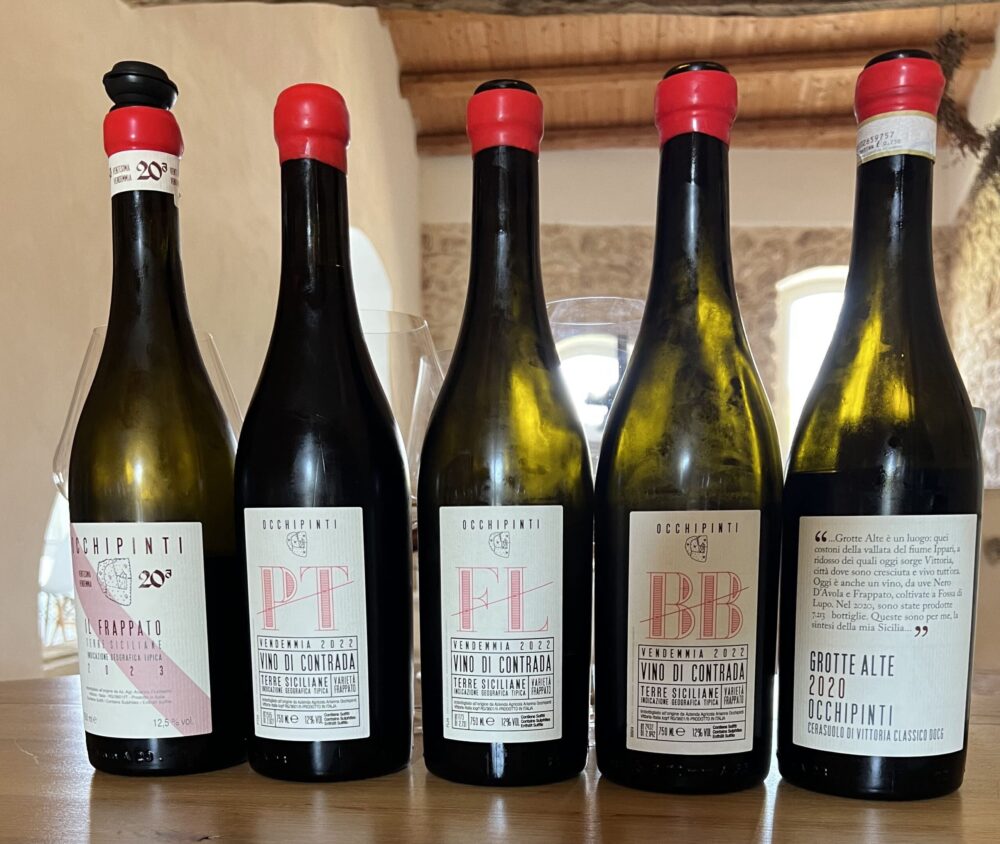 Batteria di vini in degustazione