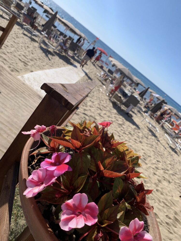 Blu Acciaroli Ristorante di Mare, la spiaggia dell'hotel