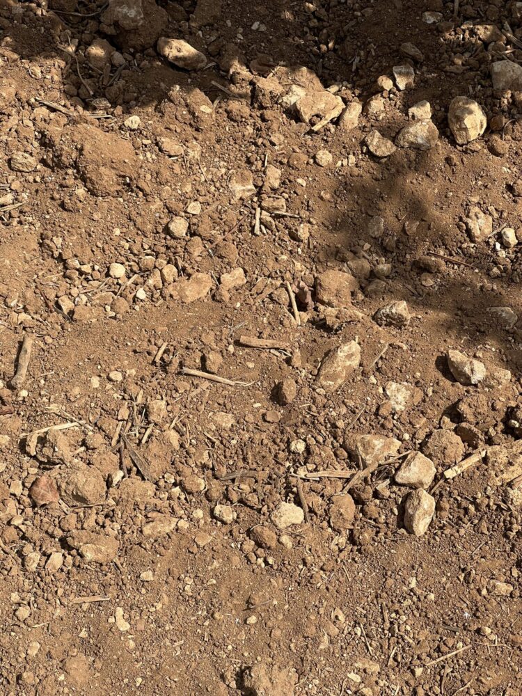 Suolo rosso sabbioso