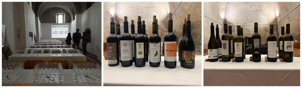 Alta Campania Wine Fest, Masterclass