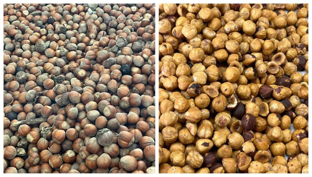 Nocciole con guscio - pelate e tostate