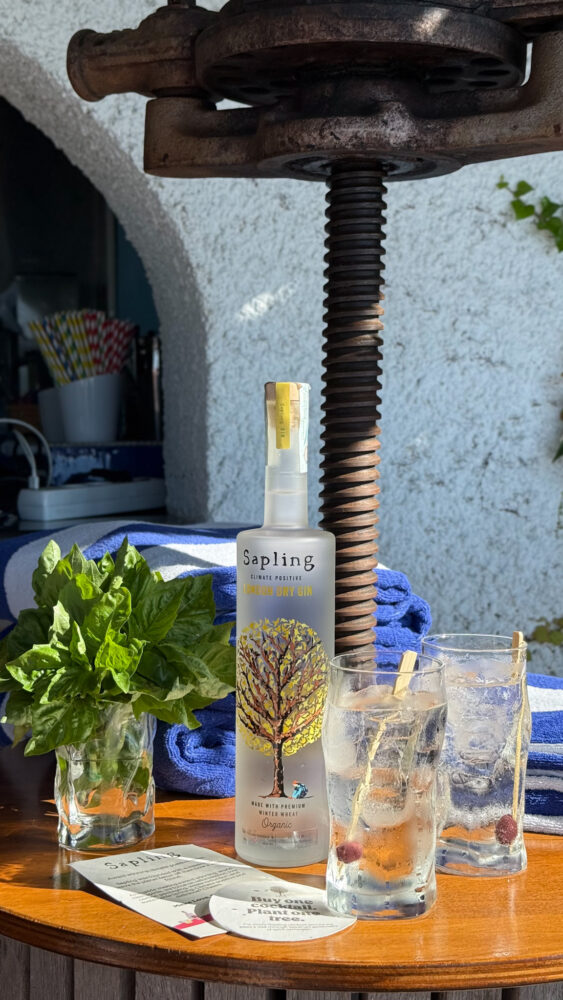 Sapling, Gin Tonic