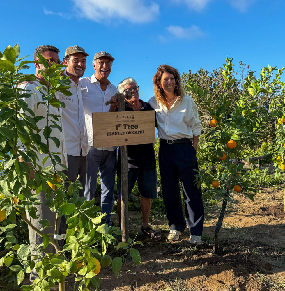 Sapling, La Crew Sapling e il proprietario del ridtorante Da Gelsomina