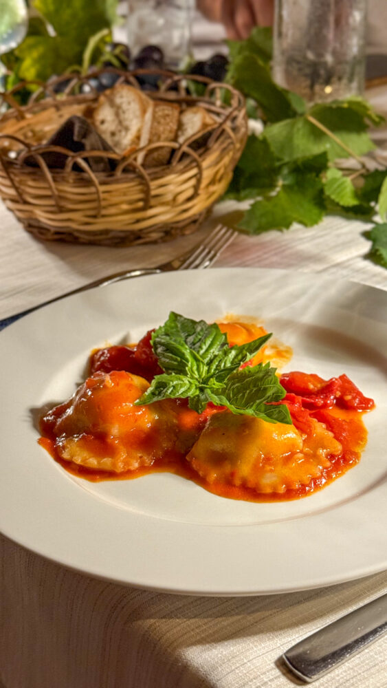 Sapling, i famosi ravioli capresi