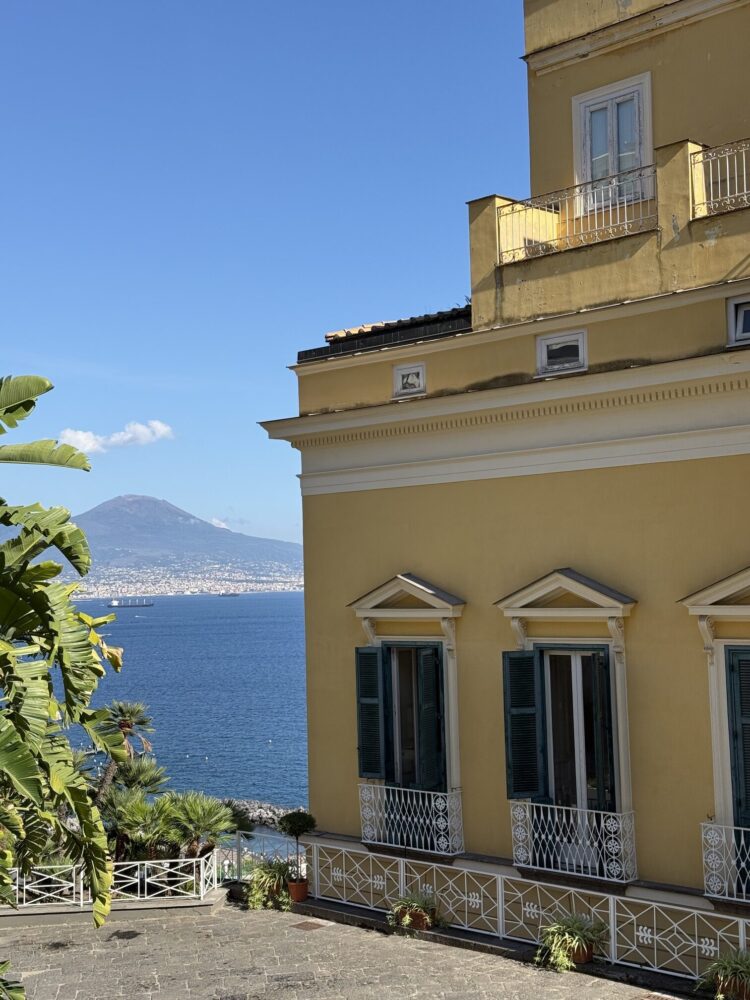 Villa Doria d'Angri - Esterno vista Vesuvio