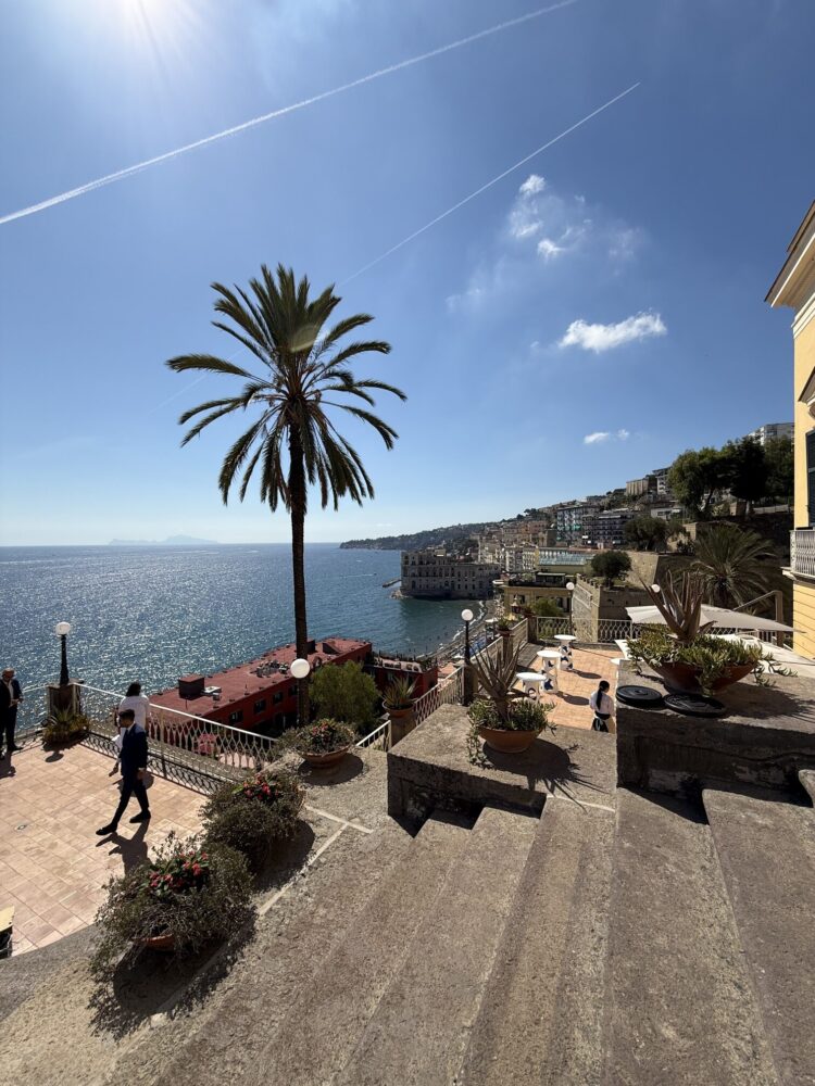 Villa Doria d'Angri - Vista Palazzo Donn'Anna